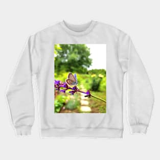 Butterfly in my garden, nature photography Crewneck Sweatshirt